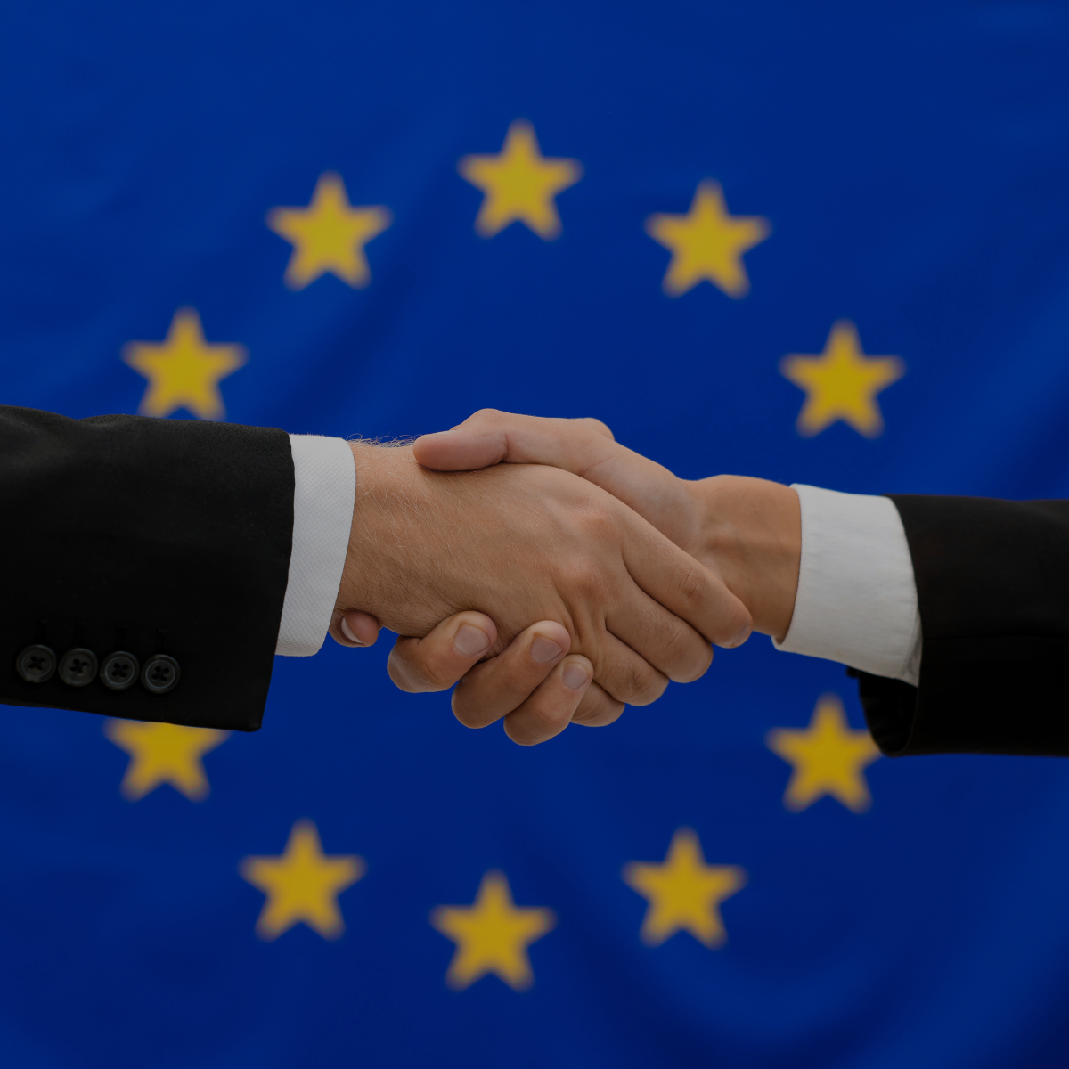 EERA on European Partnerships under FP10
